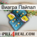 Виагра Пайпал cialis5